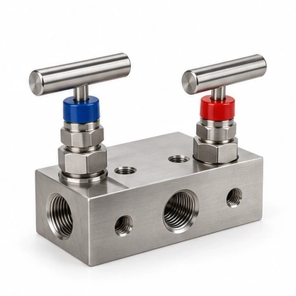 2 Valve Instrumentation Manifold